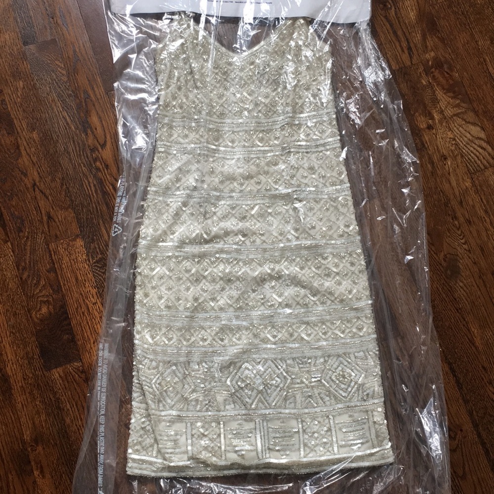 Gorgeous Beaded Dress by Theia